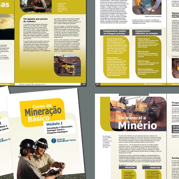 Vale - Curso de Mineração Avançada